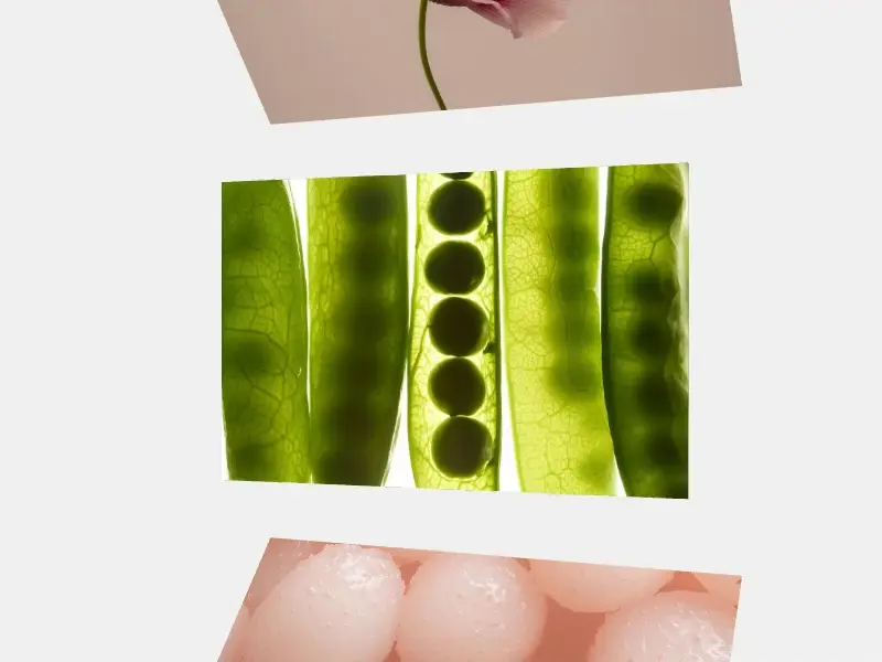 Motion #003 Mockup in River Visual motion template mockup preview