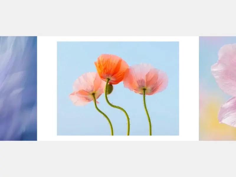 Motion #028 Mockup in River Visual motion template mockup preview